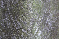 Northwood Green fibreglass roof work